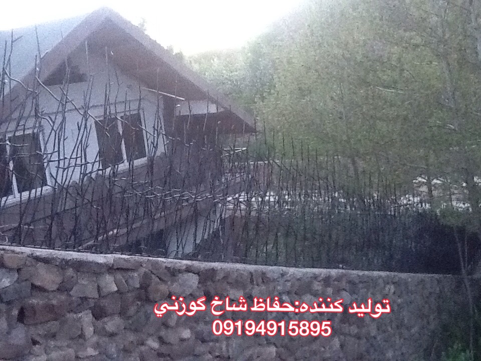 حفاظ شاخ گوزنی