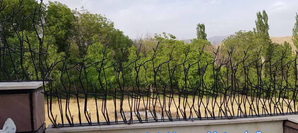 حفاظ شاخ گوزنی